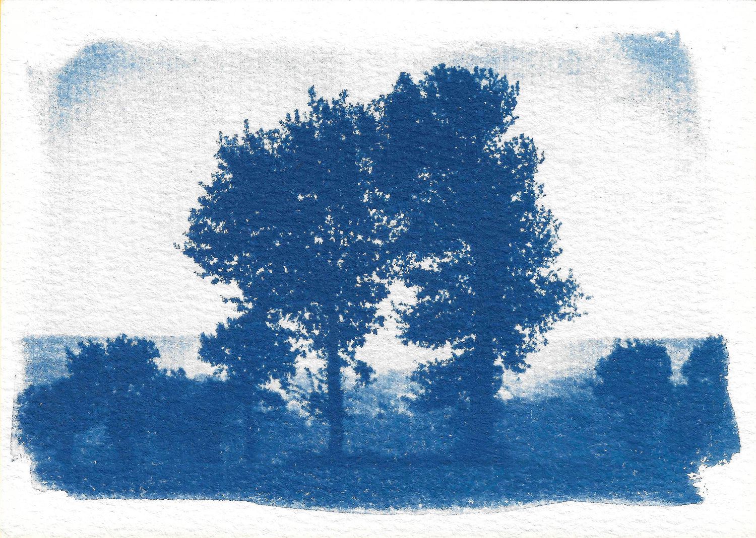 CYANOTYPES